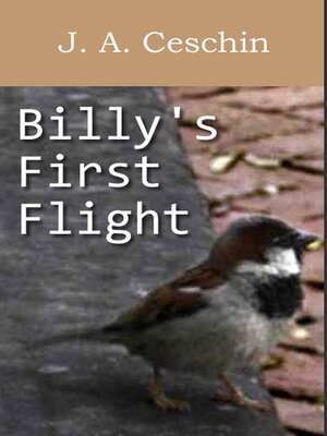 cover image of Billy's First Flight